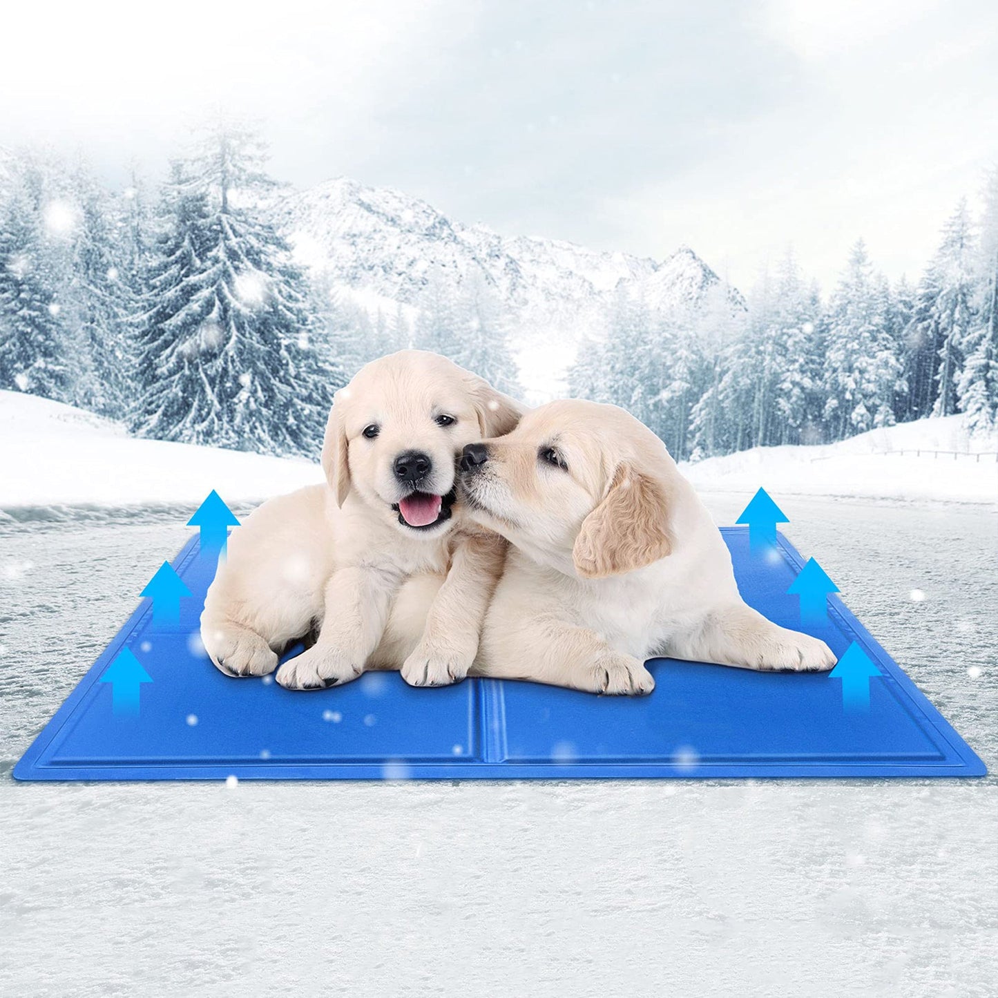 Pet cooling mat all-day cooling comfort