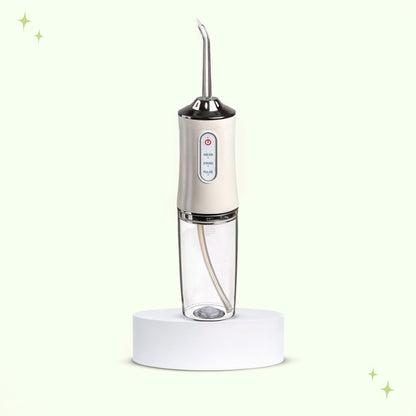 Electric water flosser dental pick for plaque and gum care