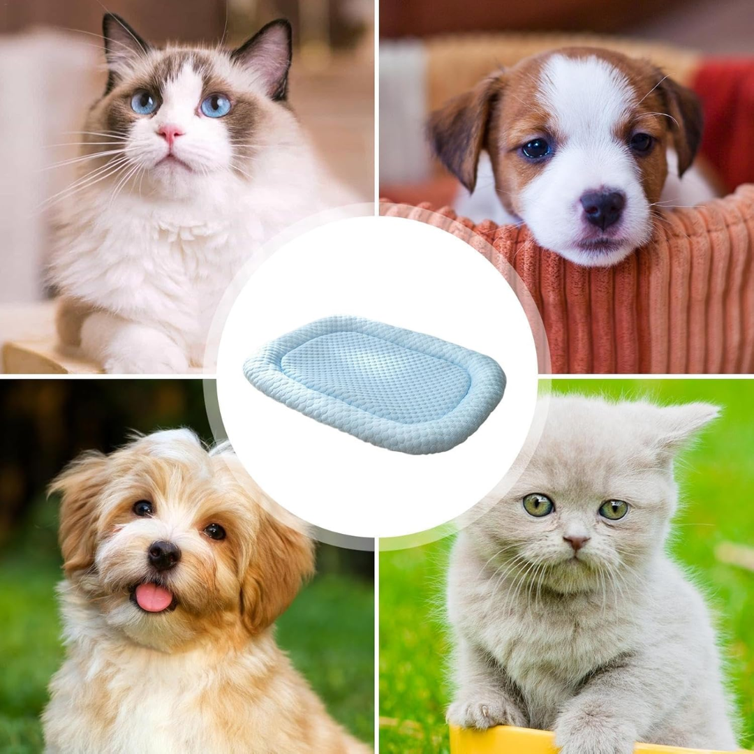 Ice-silk cooling pet bed for summer