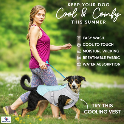 Dog summer cooling vest reflective and breathable