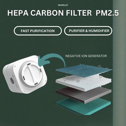 Smart HEPA air purifier allergy and airborne irritant protection