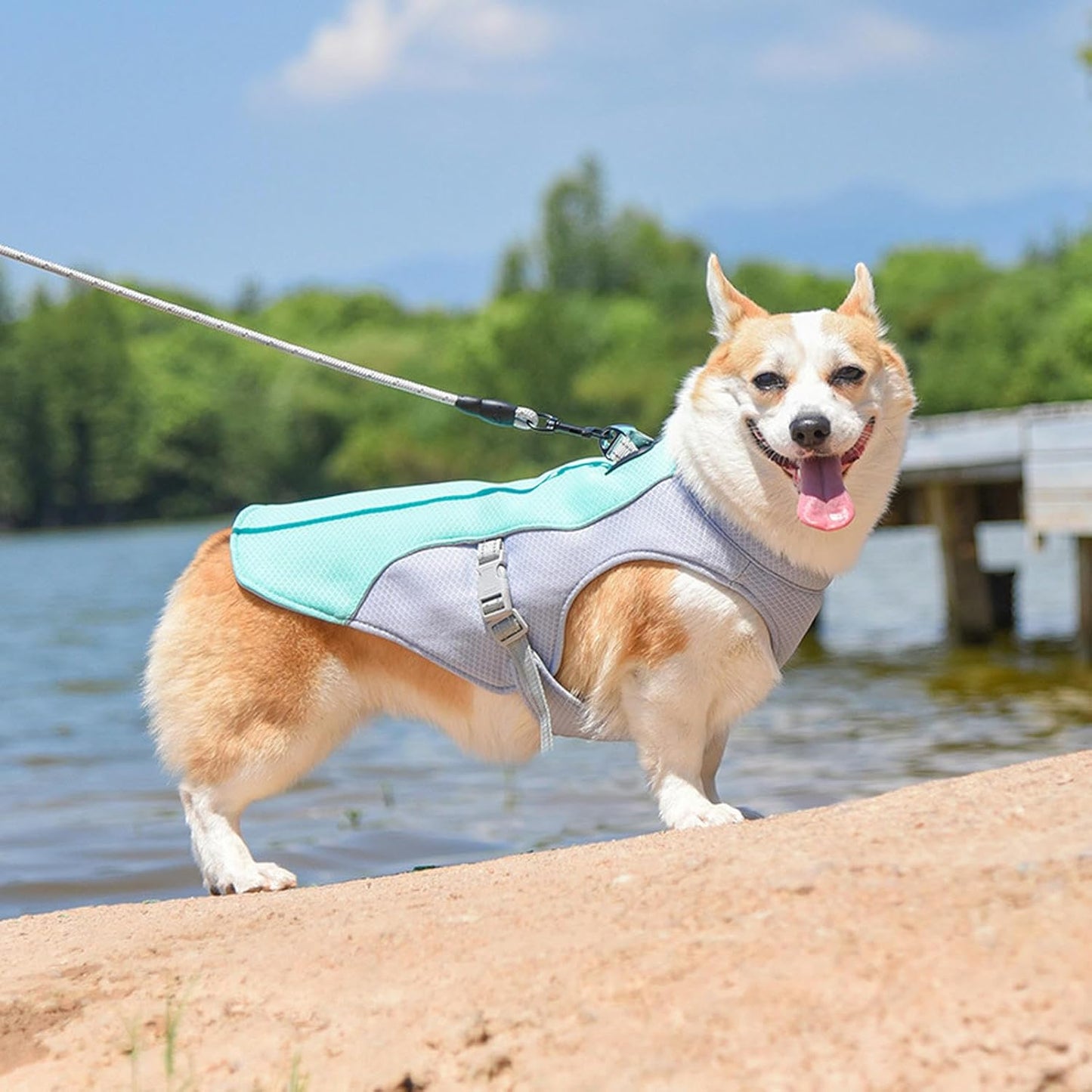 Dog summer cooling vest reflective and breathable