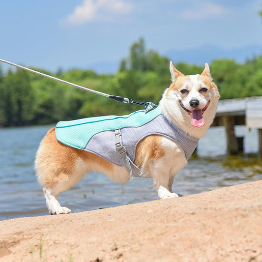 Dog summer cooling vest reflective and breathable