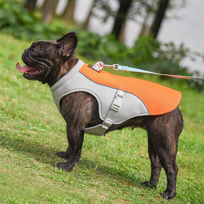 Dog summer cooling vest reflective and breathable