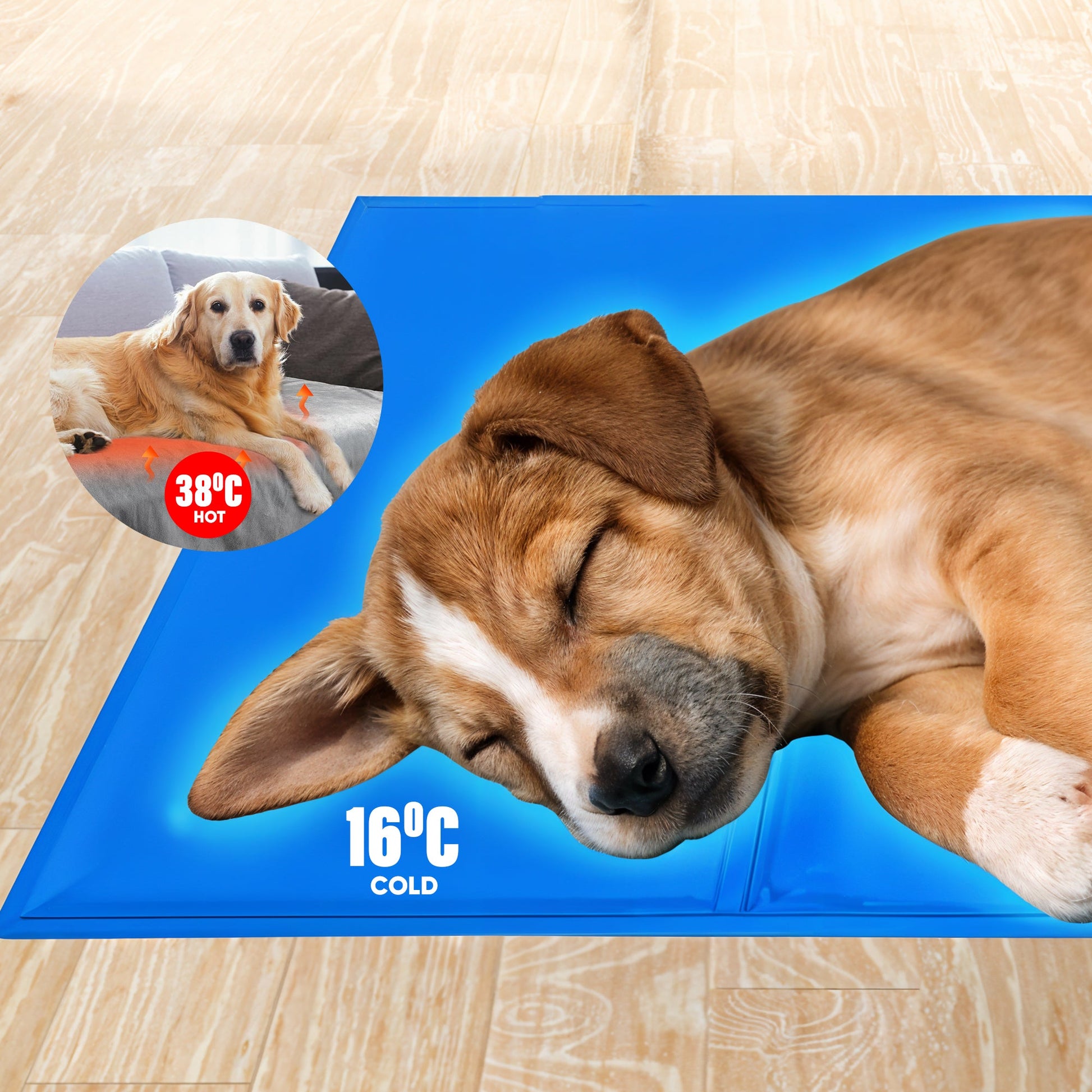 Pet cooling mat all-day cooling comfort