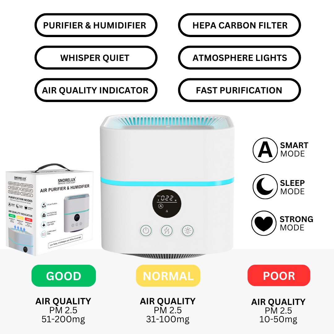 Smart HEPA air purifier allergy and airborne irritant protection
