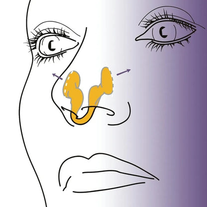Silicone nasal dilator for sinus relief and snoring