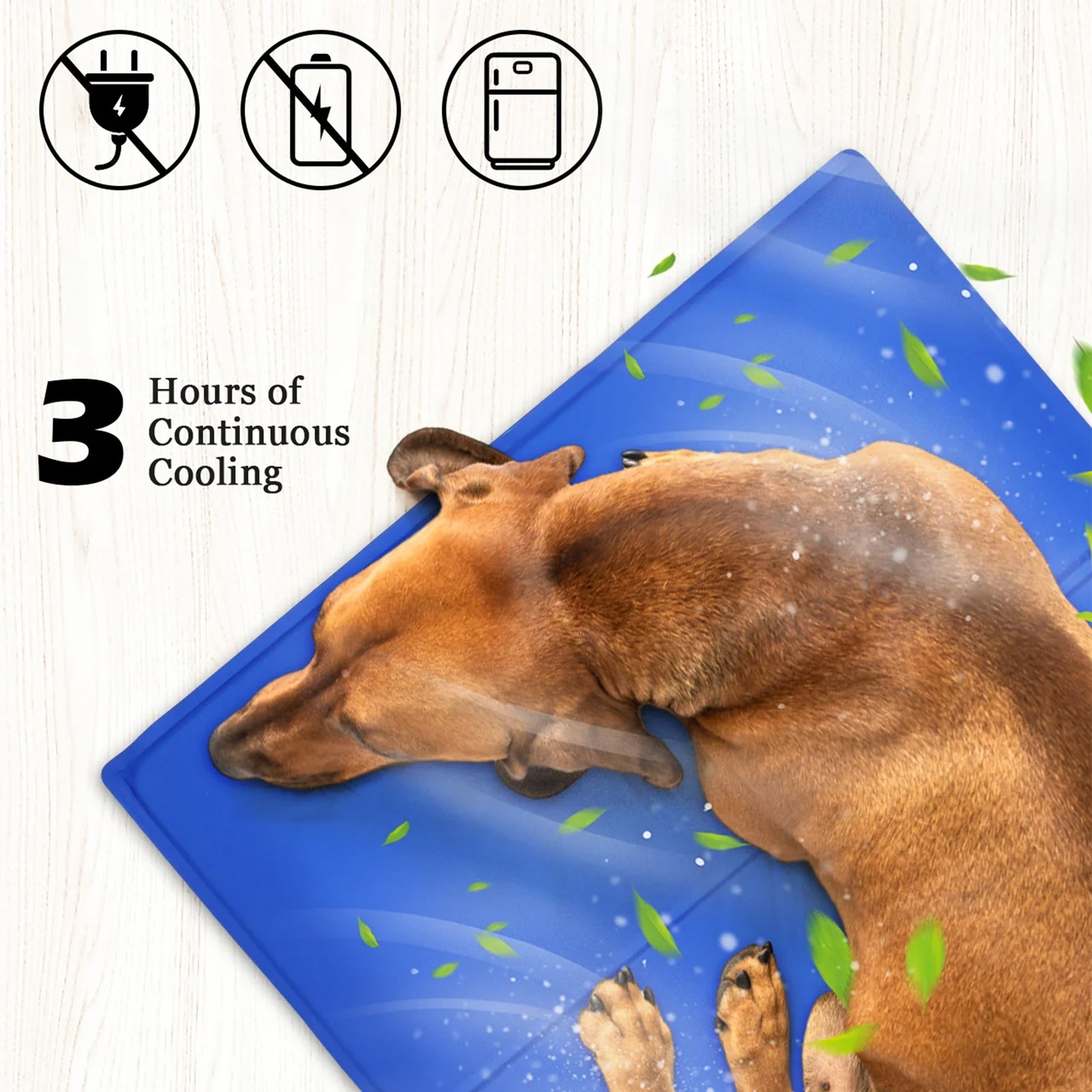 Pet cooling mat all-day cooling comfort