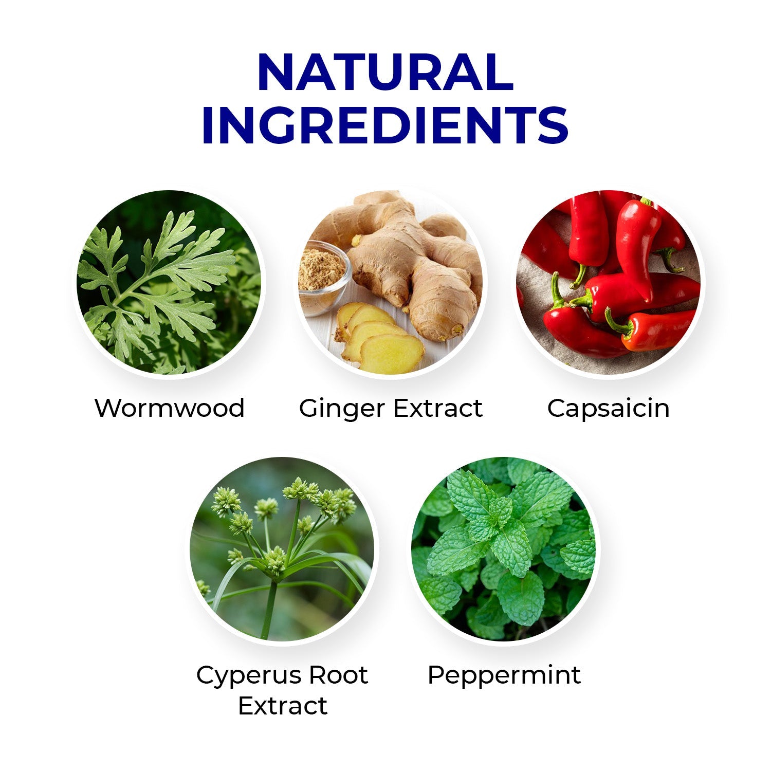 Natural herbal adhesive cervical spine patches for neck