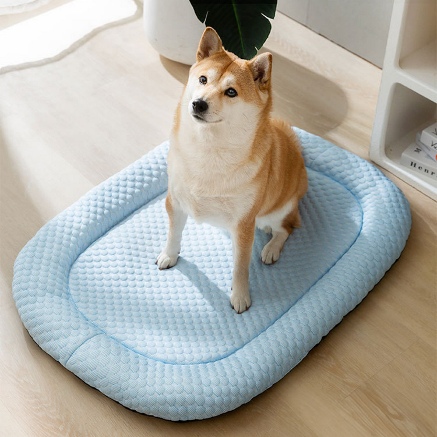 Ice-silk cooling pet bed for summer